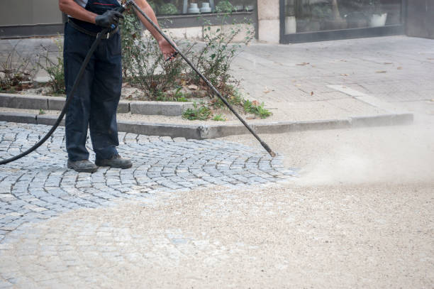 Best Dumpster Area Cleaning  in Vineyard Haven, MA